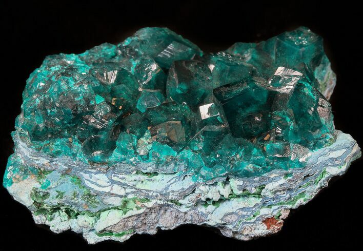 Gemmy Dioptase Cluster (Large Crystals) - Namibia #44660
